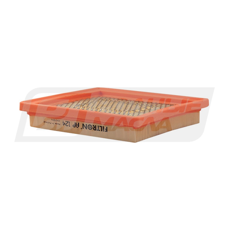FILTRON AP 124 (A-2009, 1654641BOO) AP124